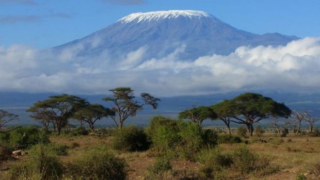 mount20kilimanjaro (1)